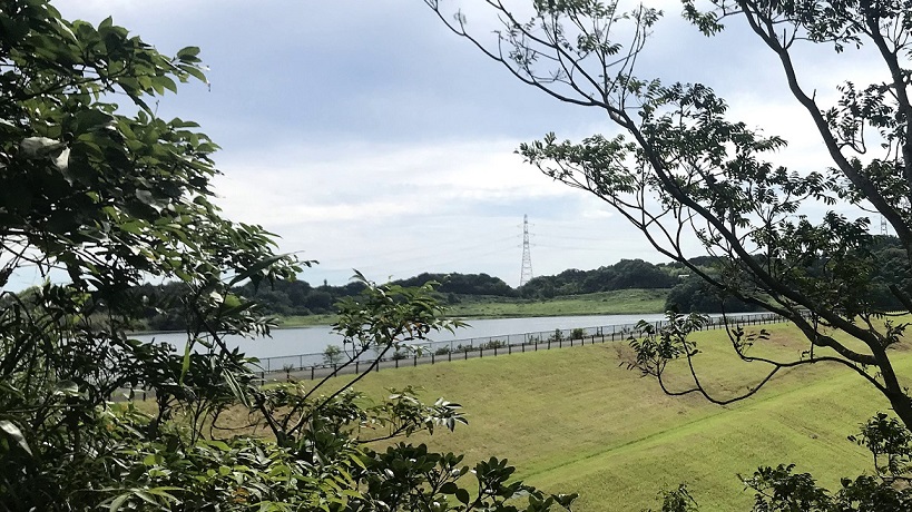 眺めてみると。